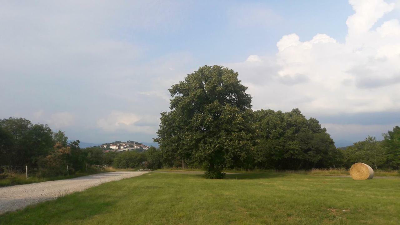 Vila Salamander Štanjel Exterior foto